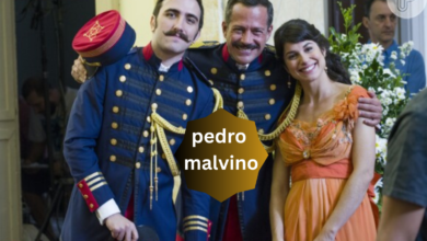 pedro malvino